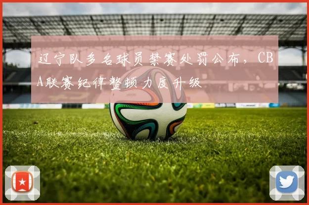 辽宁队多名球员禁赛处罚公布，CBA联赛纪律整顿力度升级