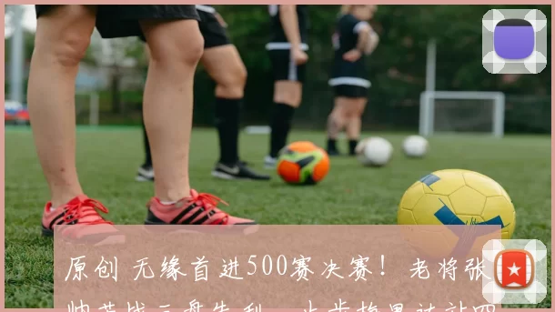 原创 无缘首进500赛决赛！老将张帅苦战三盘失利，止步梅里达站四强