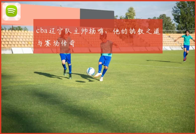 cba辽宁队主帅杨鸣，他的执教之道与赛场传奇